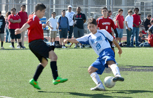 Rosemont Soccer Season Starts - Crescenta Valley Weekly