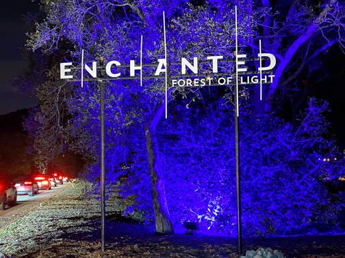 The Event - The Enchanted Forest