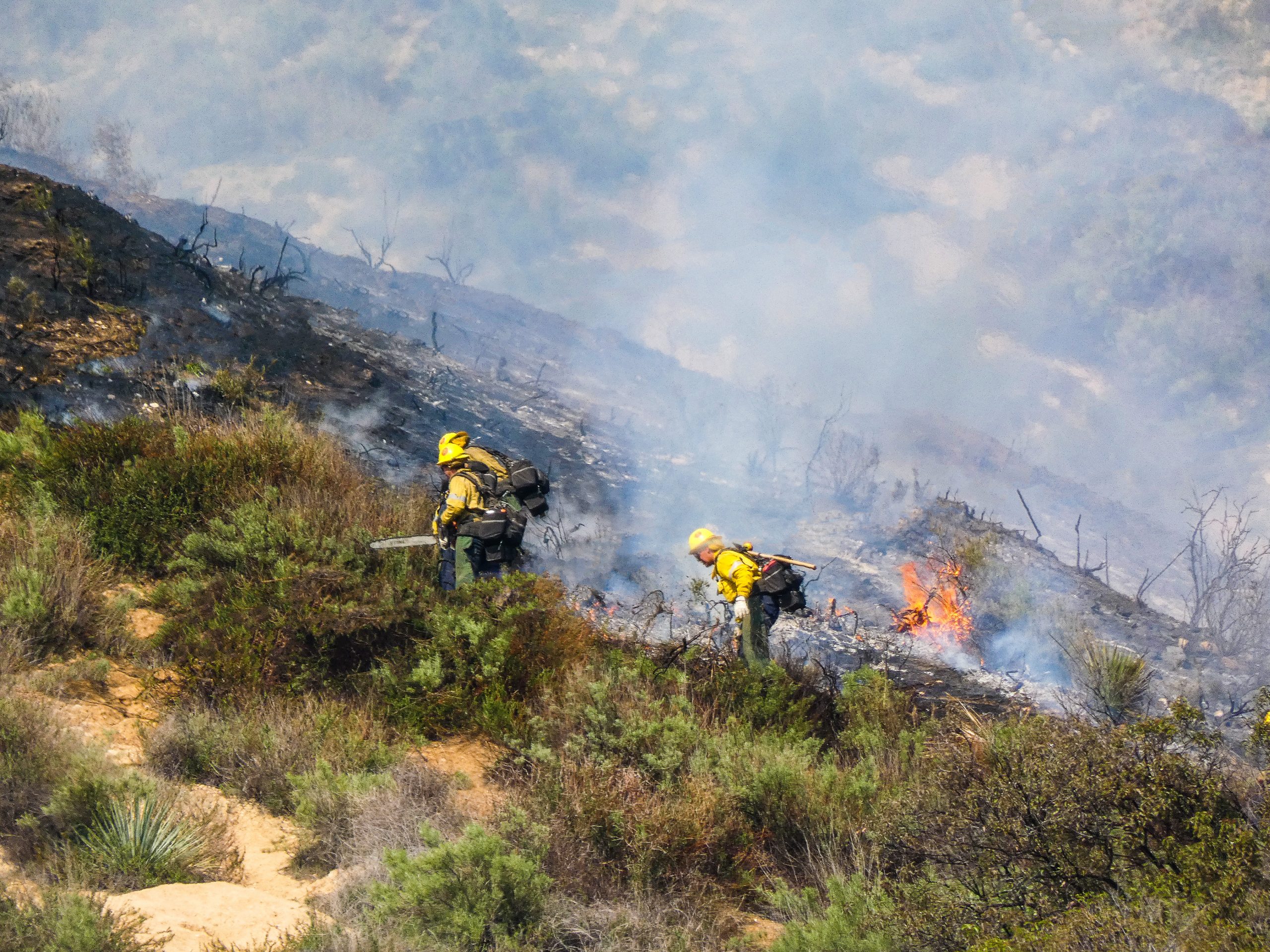 Los Angeles County Fire Responds to Incident in Altadena Crescenta