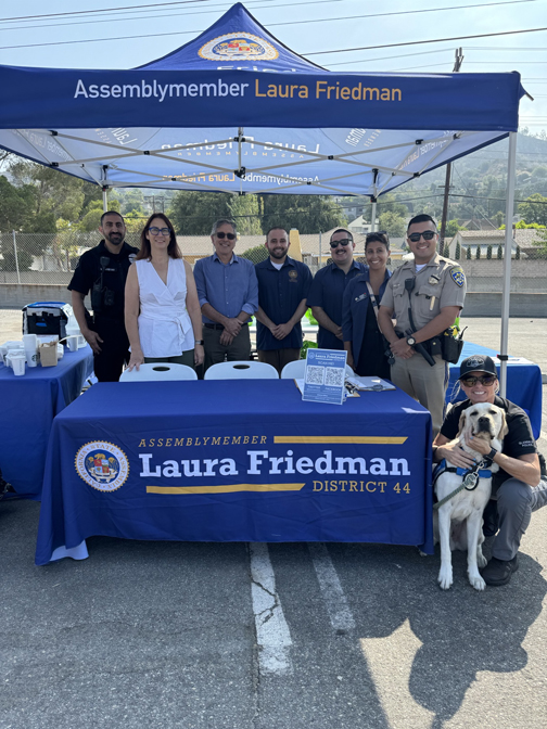 Chp booster seat sale